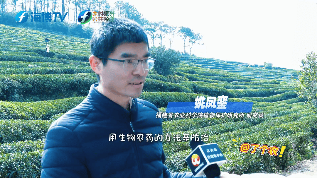無(wú)人機(jī)+生物防治 新科技守護(hù)武夷春茶:生物防治