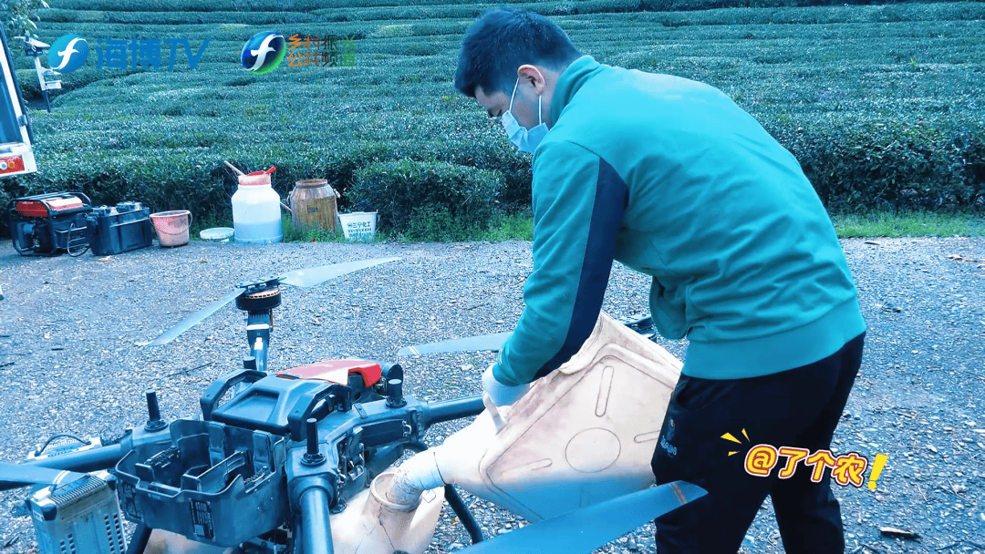 無(wú)人機(jī)+生物防治 新科技守護(hù)武夷春茶:生物防治