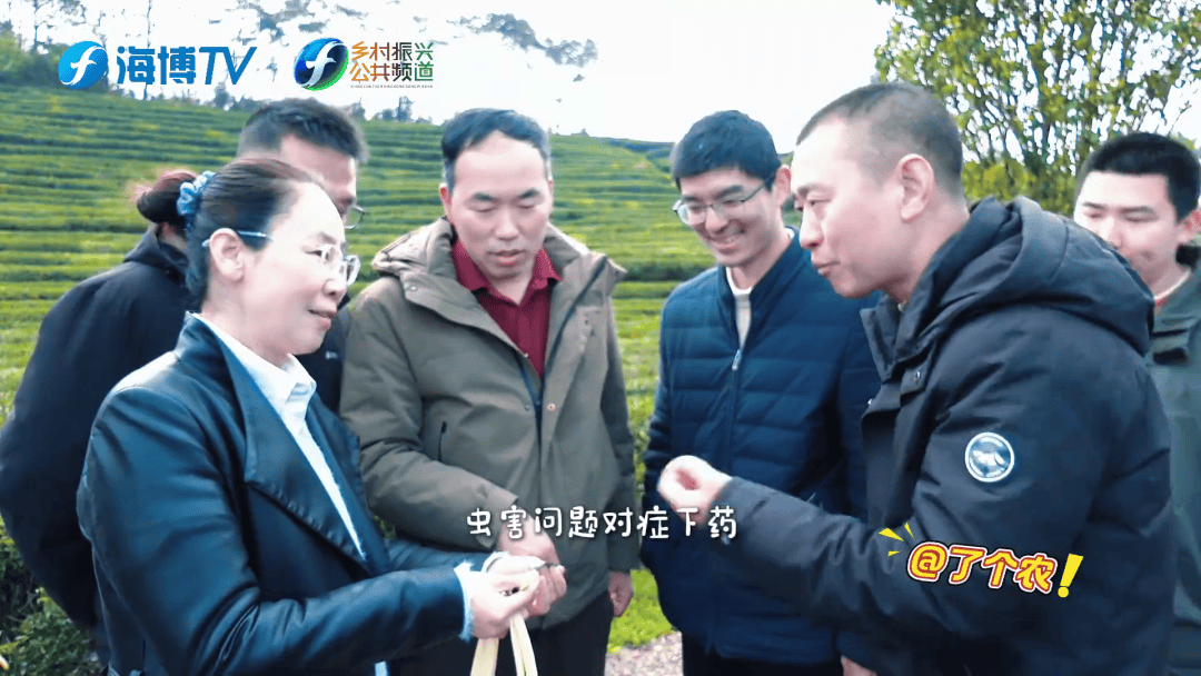 無(wú)人機(jī)+生物防治 新科技守護(hù)武夷春茶:生物防治